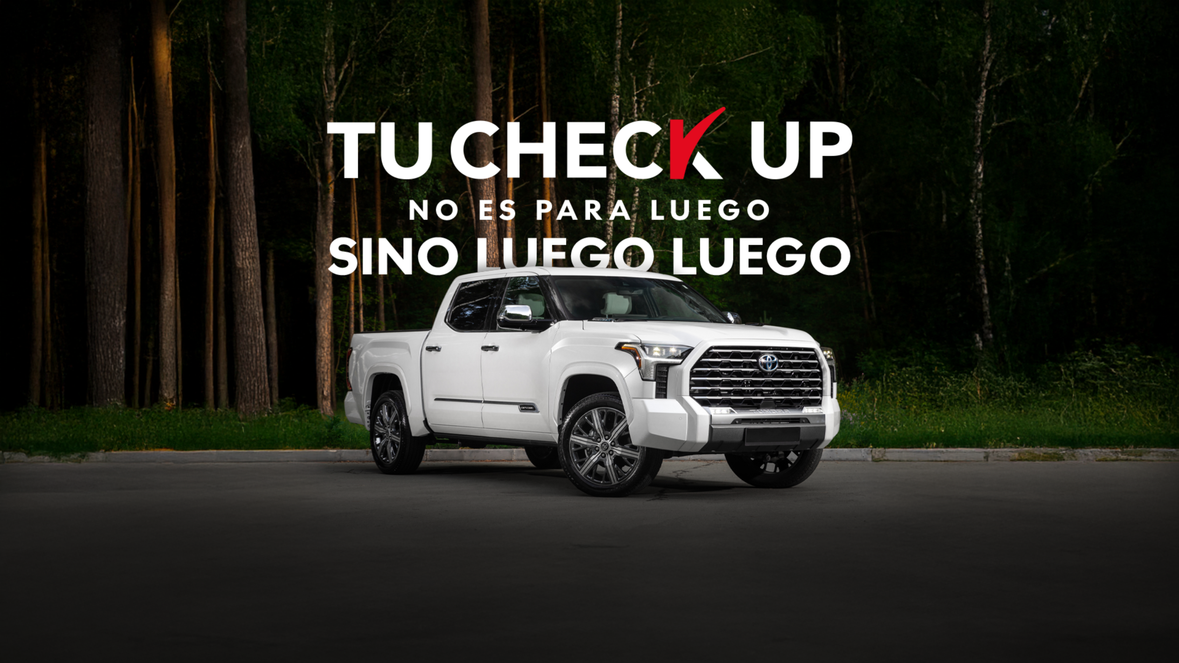 Tu Check Up - Toyota Tundra